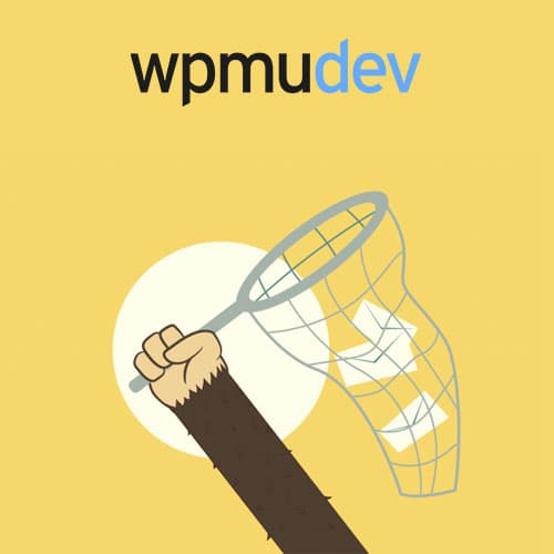 WPMU DEV MailChimp Интеграция