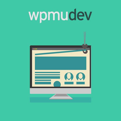 WPMU DEV Multisite Theme管理器