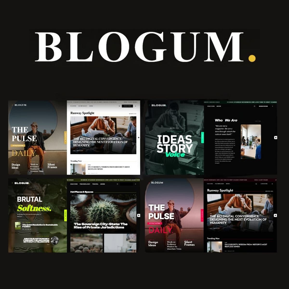 Screenshot of Blogum interface