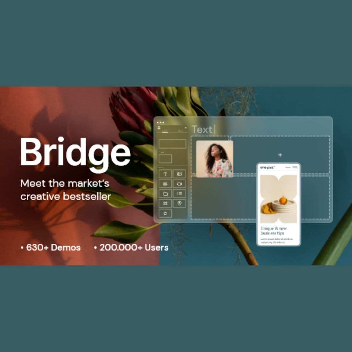 Screenshot of Bridge interface