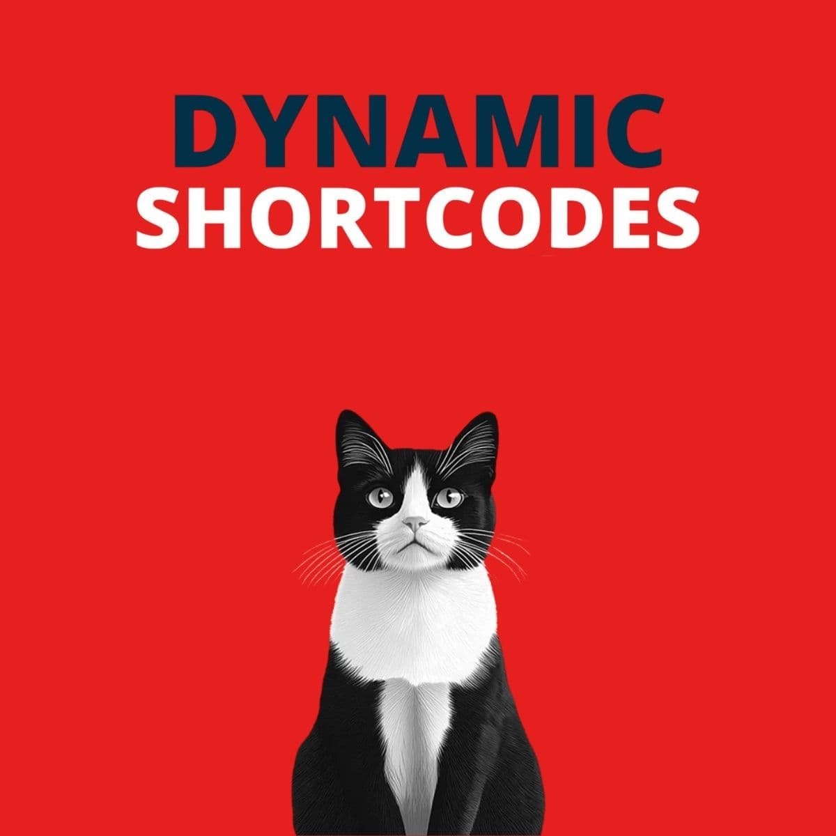 Screenshot of Dynamic Shortcodes interface