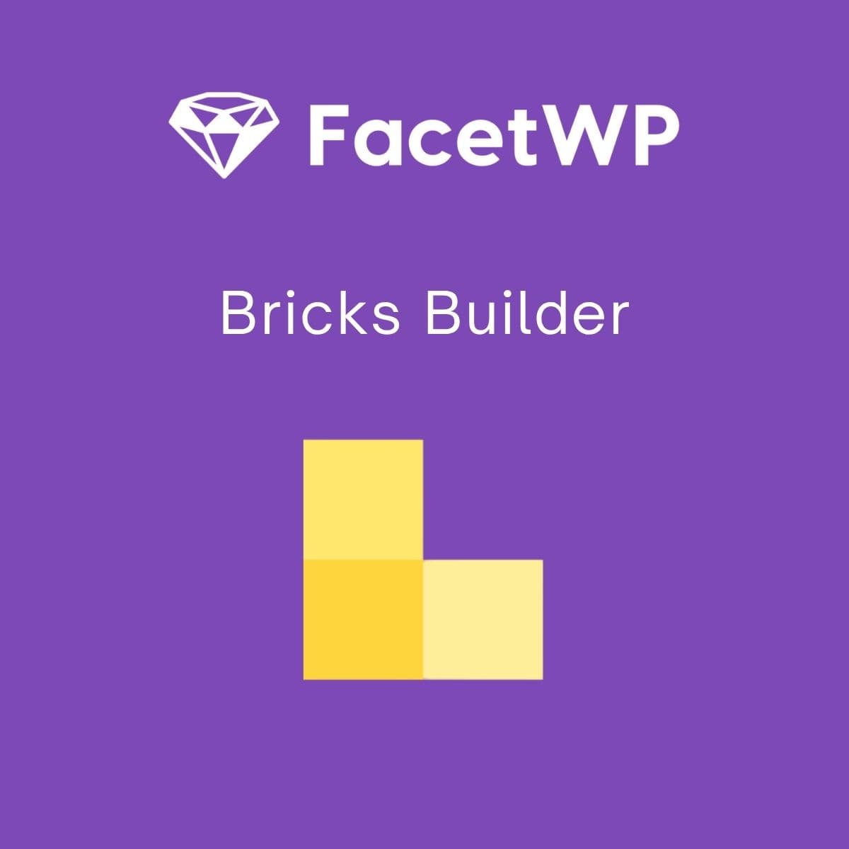 Screenshot of FacetWP - Bricks Builder interface