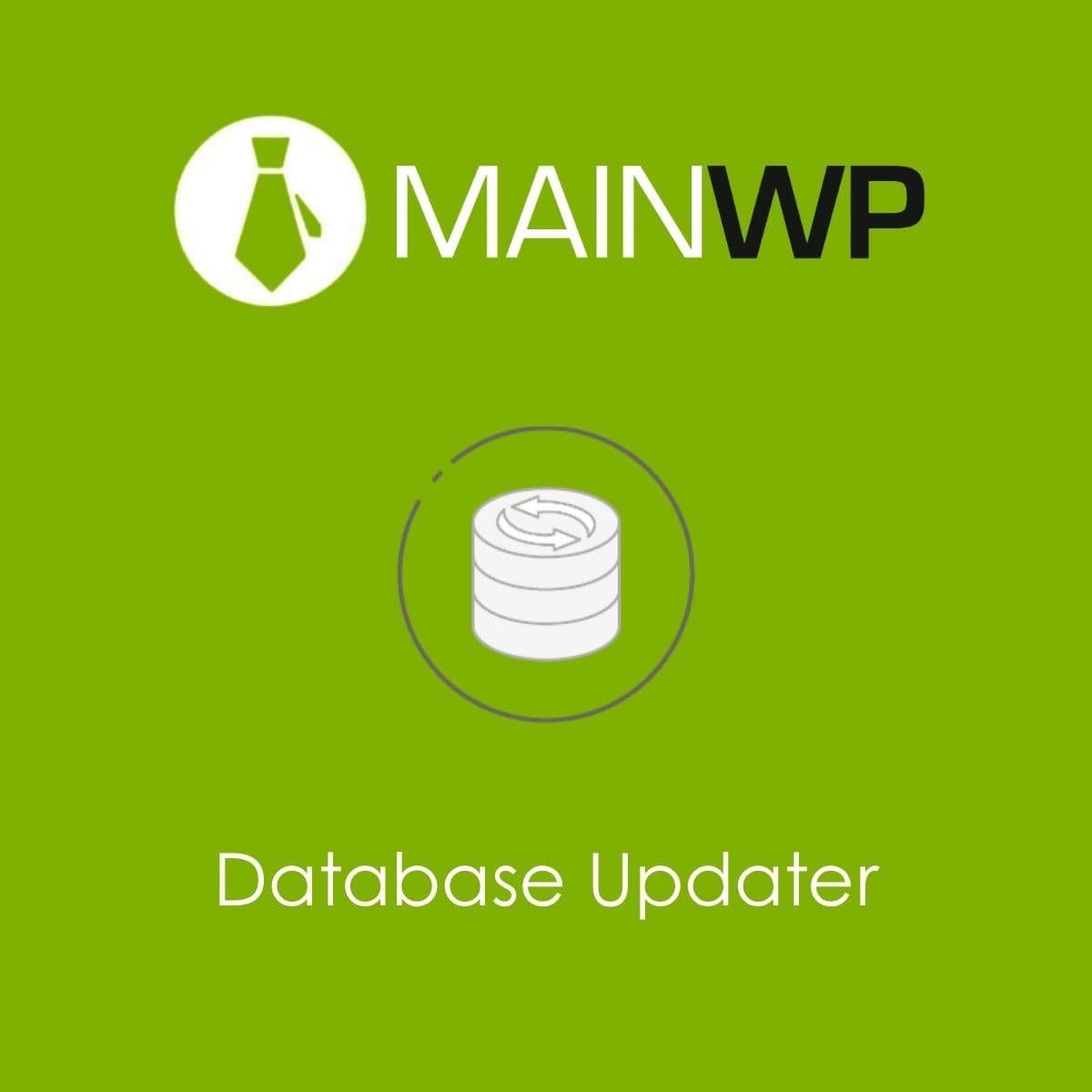 Screenshot of MainWP Database Updater interface