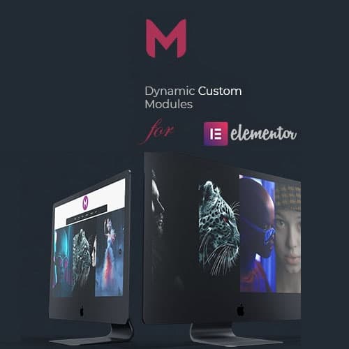 Modulify | Modules Addon pentru Elementor Page Constructor