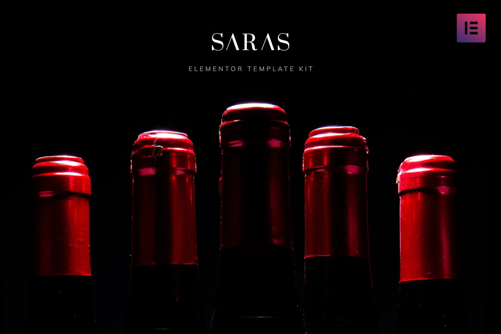 Screenshot of Saras interface