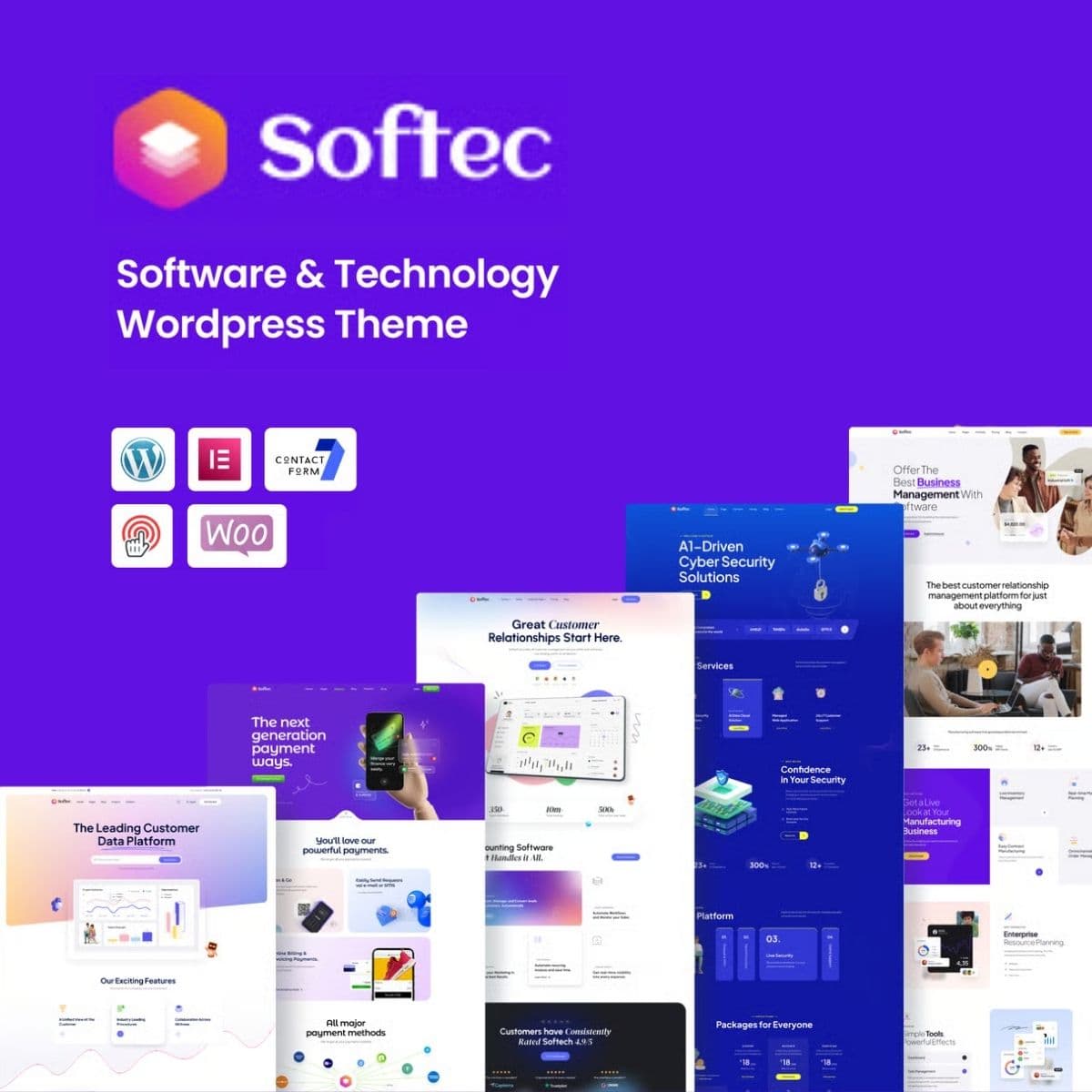 Screenshot of Softec interface