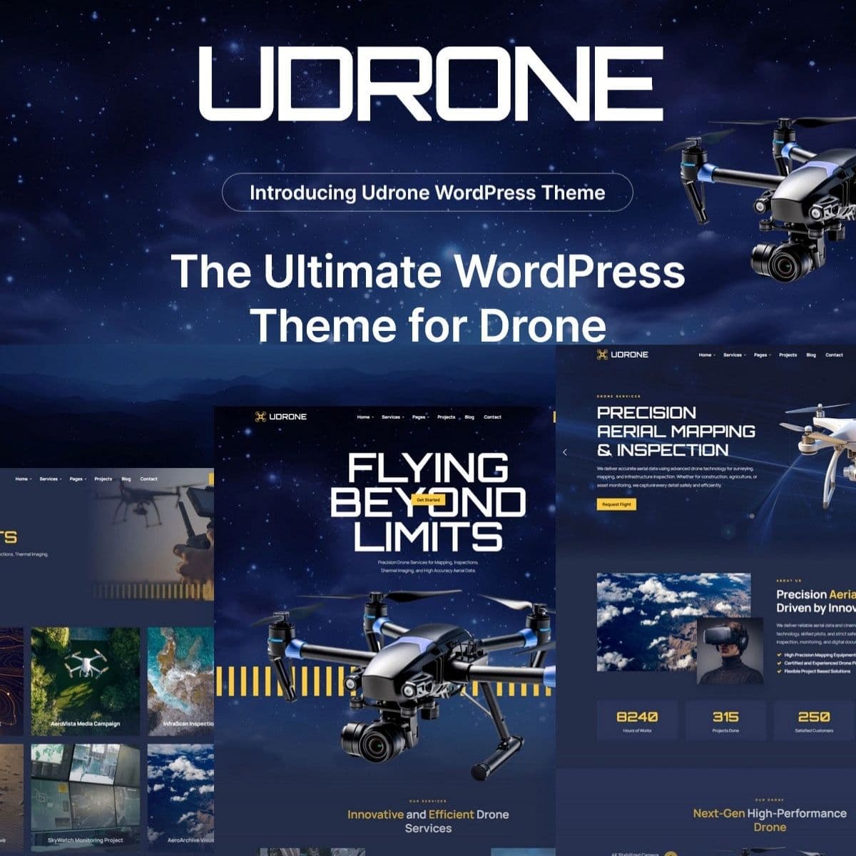 Screenshot of Udrone interface