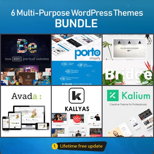 6 多用途 WordPress主题s - BUNDLE